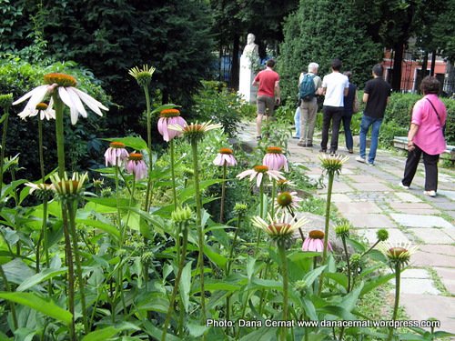 Architectural history and photography tour in Cismigiu area, Bucharest