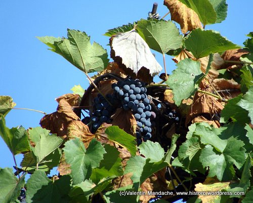 Autumn is around the corner in Bucharest