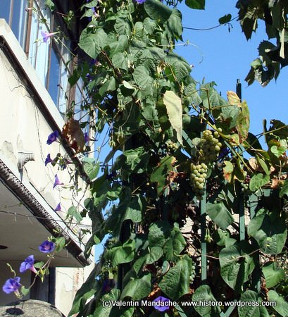 Autumn is around the corner in Bucharest