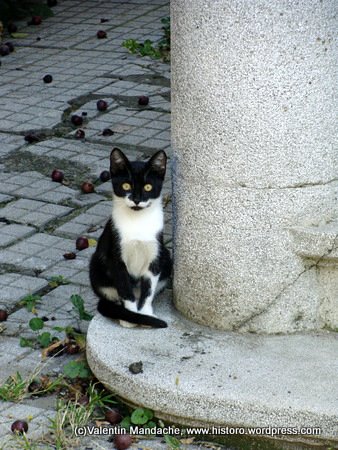 Autumn is around the corner in Bucharest