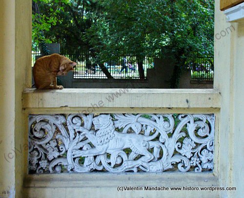 Neo-Romanian feline panel and live cat, Bucharest