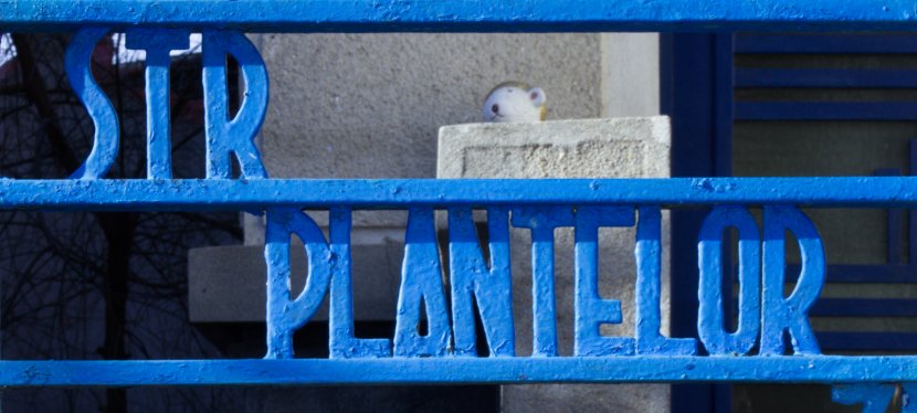 Tour: Plantelor area